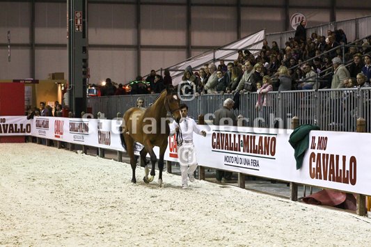 NADA BRAUN_MILANO_2010_SS3_1532.jpg